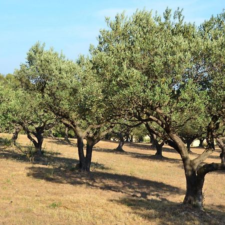 La Villa Provencale Лорг Екстериор снимка