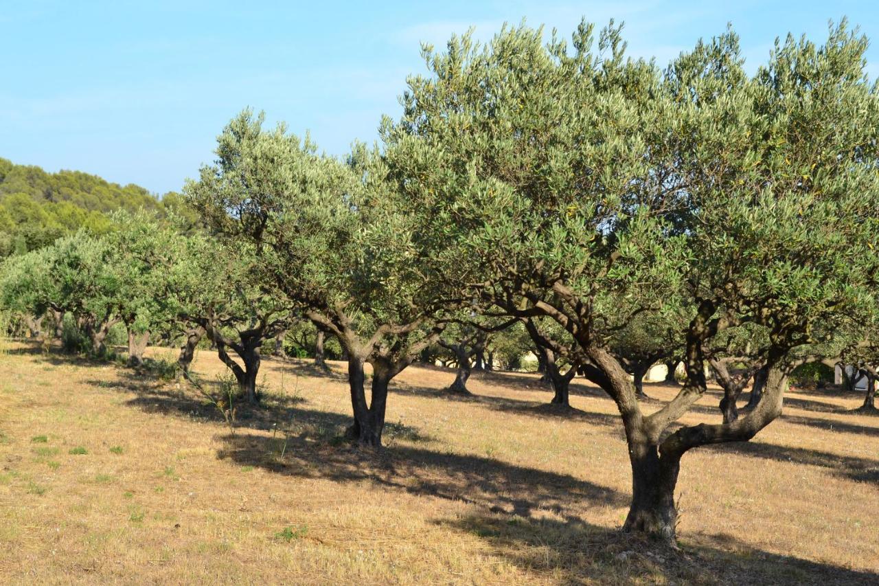 La Villa Provencale Лорг Екстериор снимка